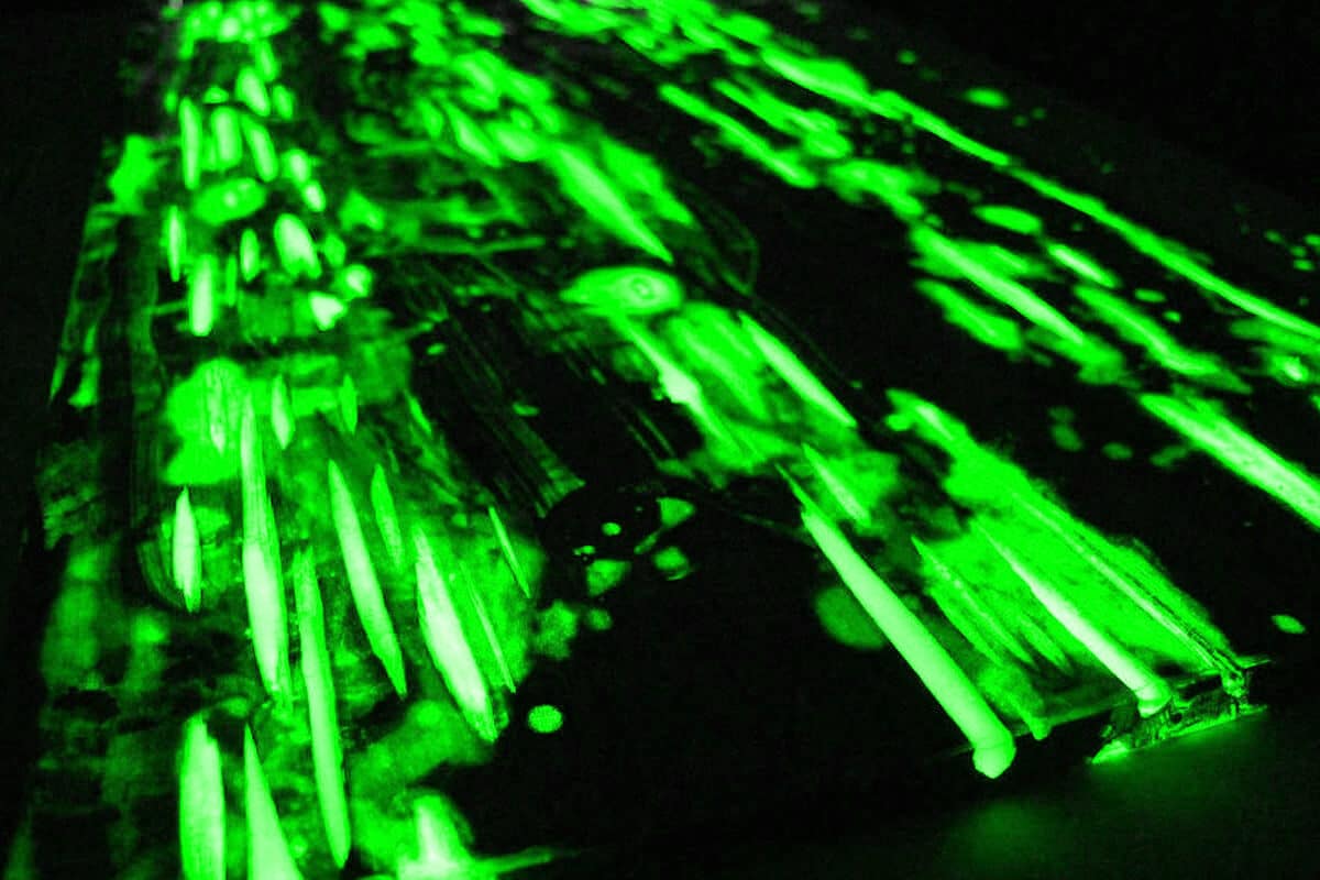 Green Glow Metallic Powder (PolyColor) Glow in the Dark Mica